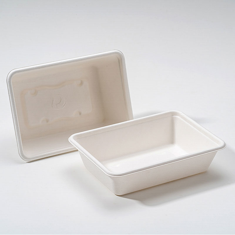 Mengapa Bagasse Square Box Merupakan Masa Depan Pembungkusan Makanan Mampan?