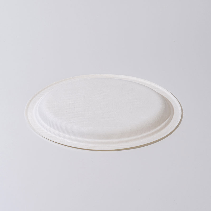 Plat bujur pulpa tebu